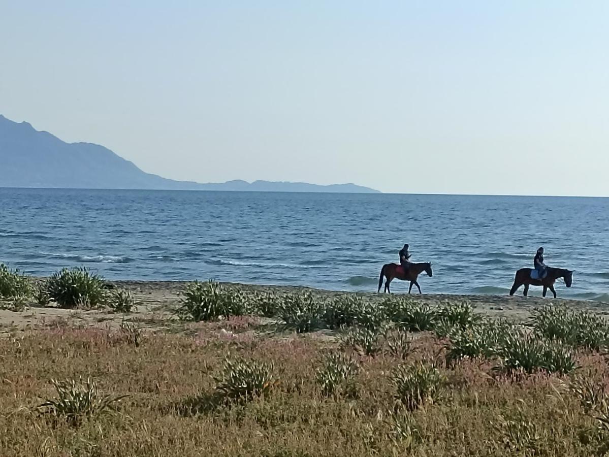 Pozzuoli-Licola Mare 아파트 외부 사진